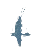 Könyveink